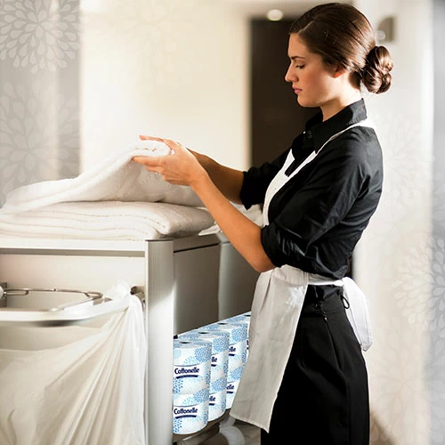 Flash Sale ๐ Professional Standard Roll Bathroom Tissue (17713), 2-Ply, White, 60 Rolls / Case, 451 Sheets / Roll, 27,060 Sheets / Case โ - Image 5